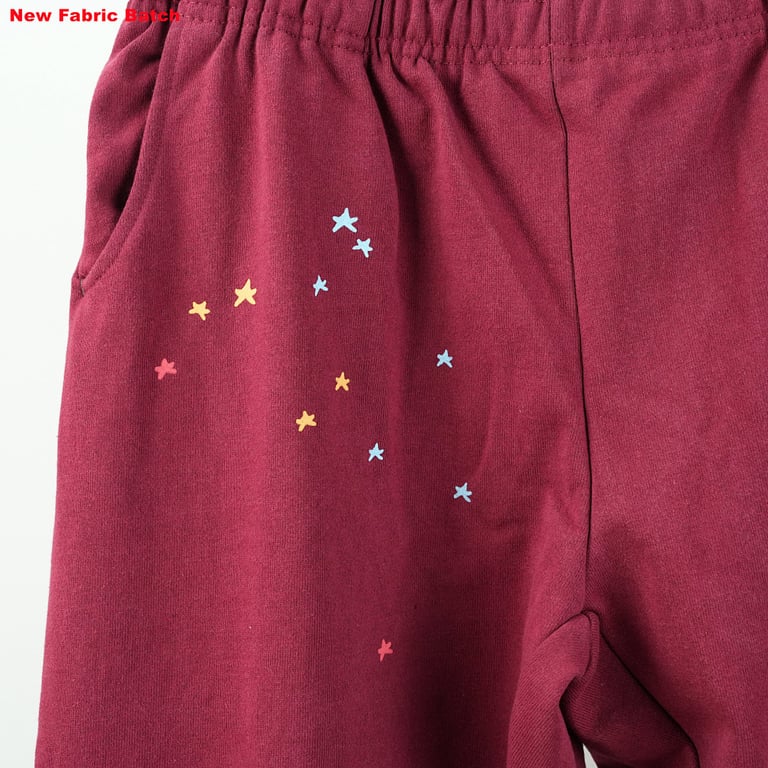 Sp5der Logo Sweatpant Maroon - 49