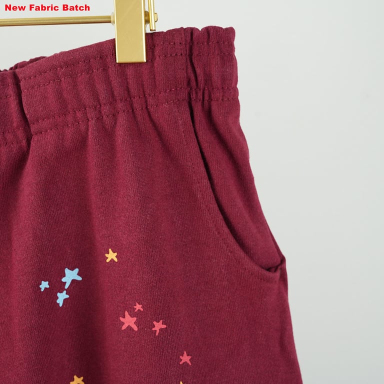 Sp5der Logo Sweatpant Maroon - 50