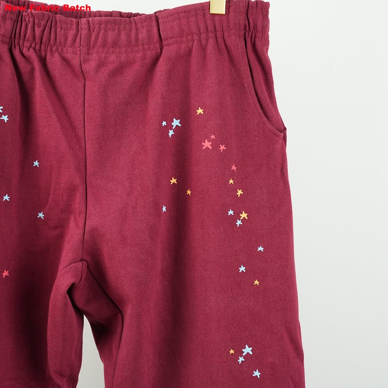 Sp5der Logo Sweatpant Maroon - 51