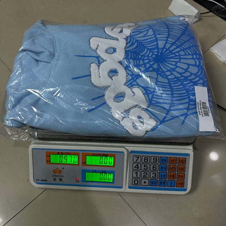 Sp5der Web Hoodie Sky Blue - 2