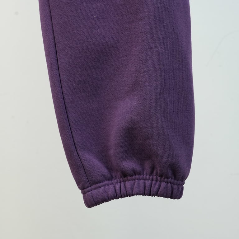 Sp5der Web Sweatpants Purple - 12