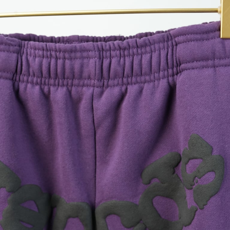Sp5der Web Sweatpants Purple - 13