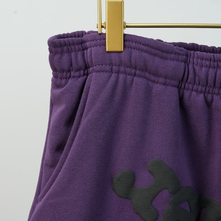 Sp5der Web Sweatpants Purple - 14