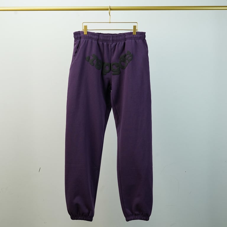 Sp5der Web Sweatpants Purple - 19