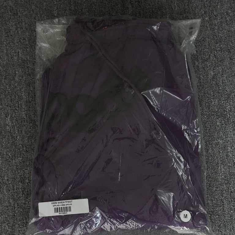 Sp5der Web Sweatpants Purple - 4