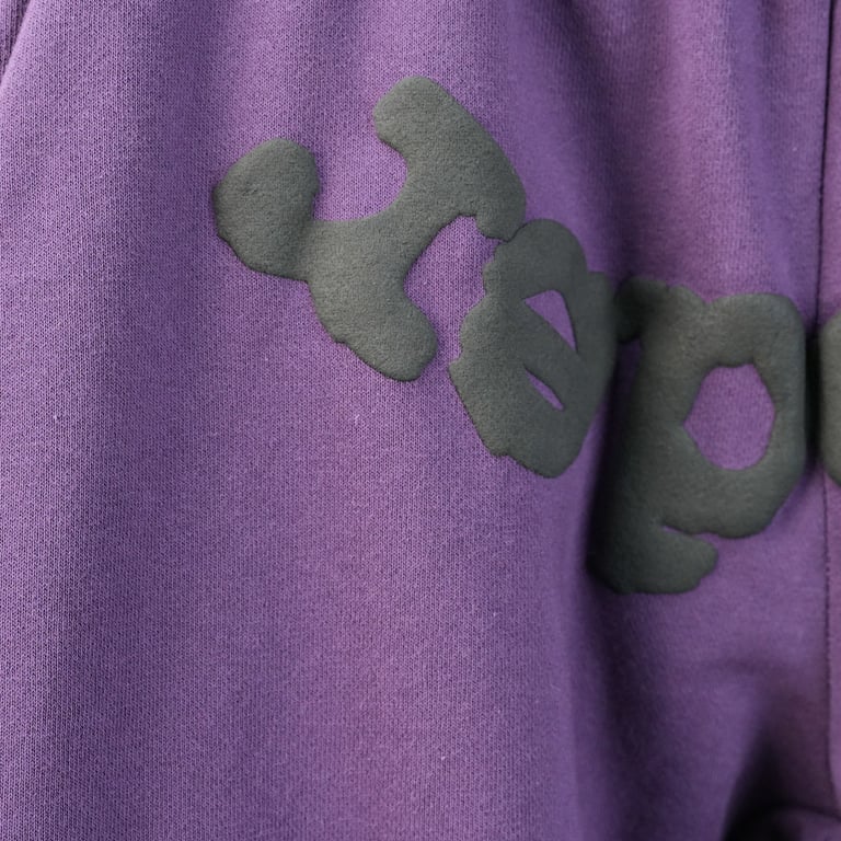Sp5der Web Sweatpants Purple - 10