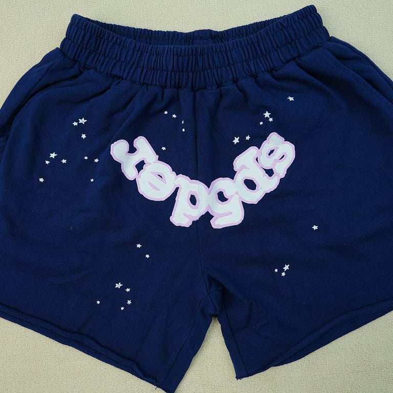 Sp5der 0G Web Logo Sweat Short Navy - 17