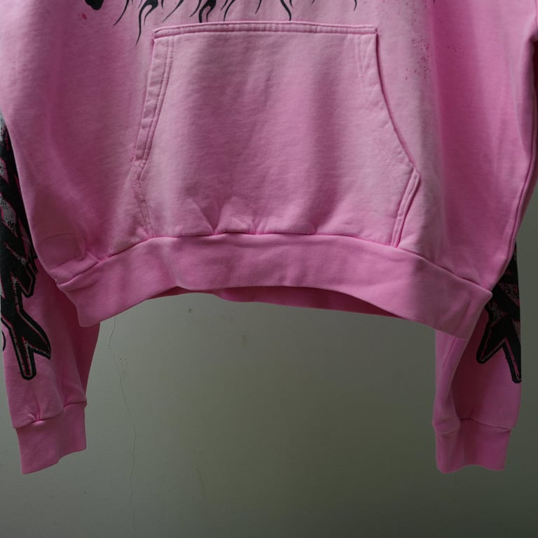 Hellstar Brainwashed Without Brain Hoodie Pink - 33