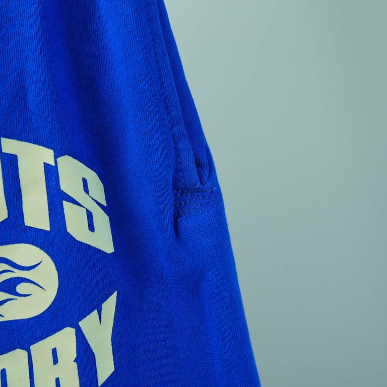 Hellstar No Guts No Glory Sweatpants Blue - 17