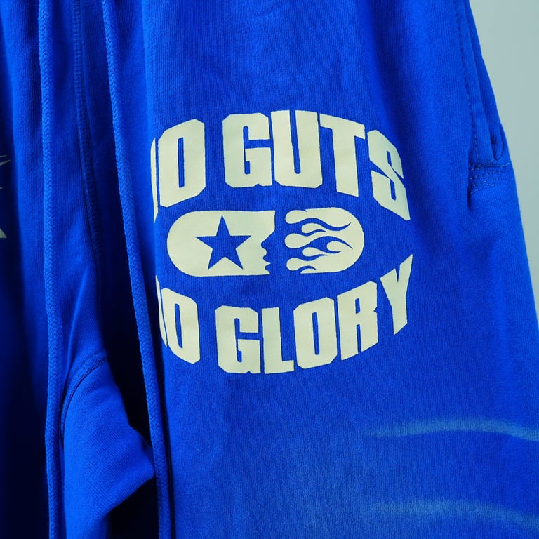 Hellstar No Guts No Glory Sweatpants Blue - 8