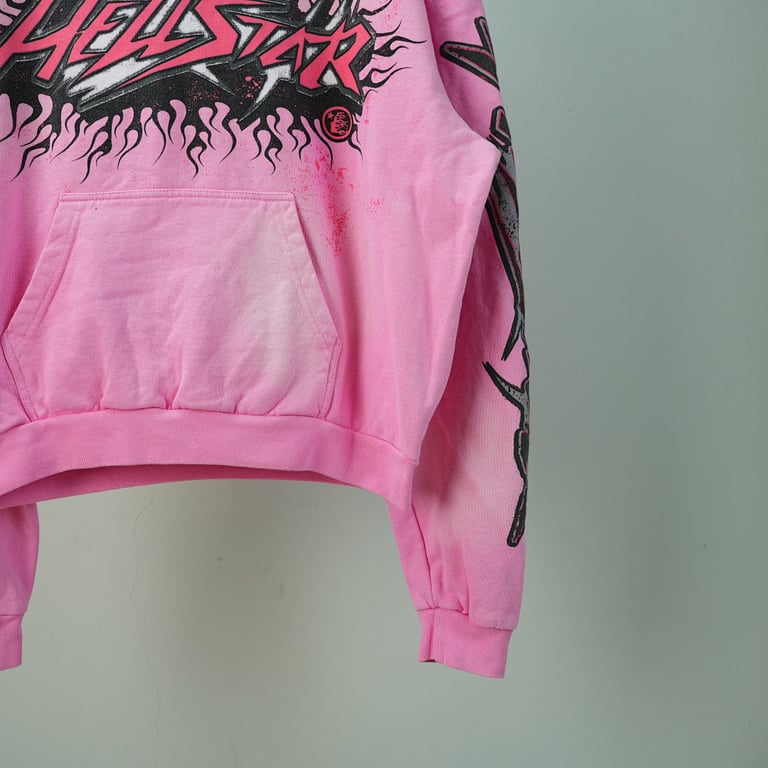 Hellstar Brainwashed With Brain Hoodie Pink - 17
