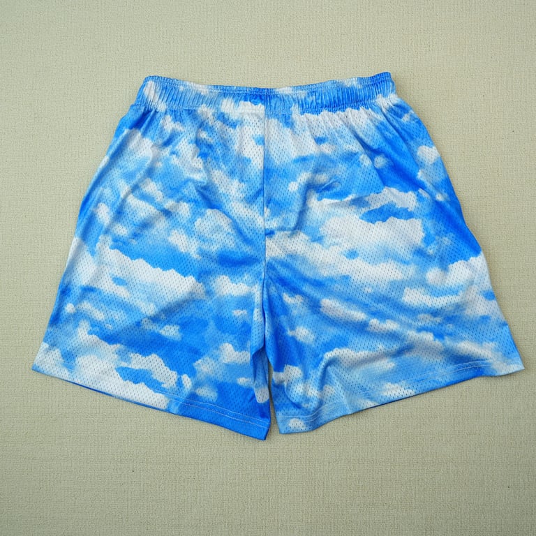 Eric Emanuel EE Basic Shorts Sky - 14