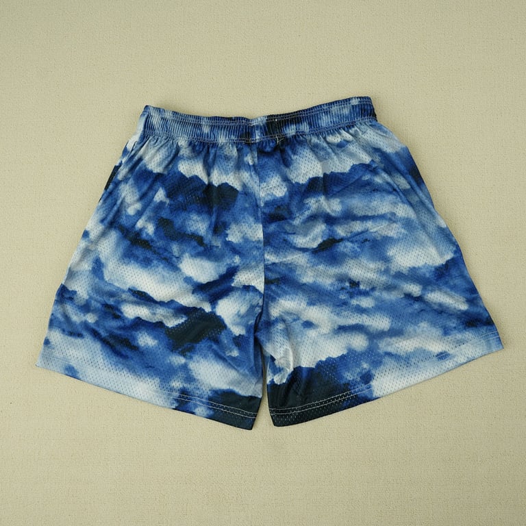 Eric Emanuel EE Basic Shorts Navy Sky - 15