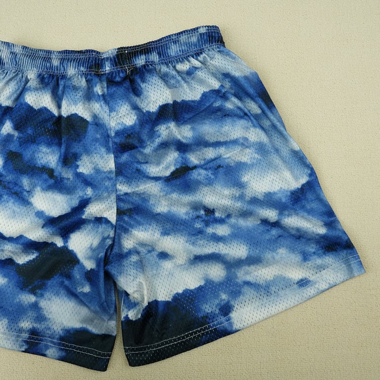 Eric Emanuel EE Basic Shorts Navy Sky - 16