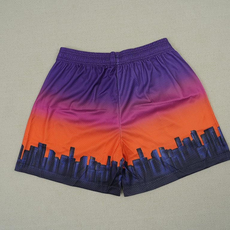 Eric Emanuel x Warren Lotas Mesh Shorts Multicolor - 15