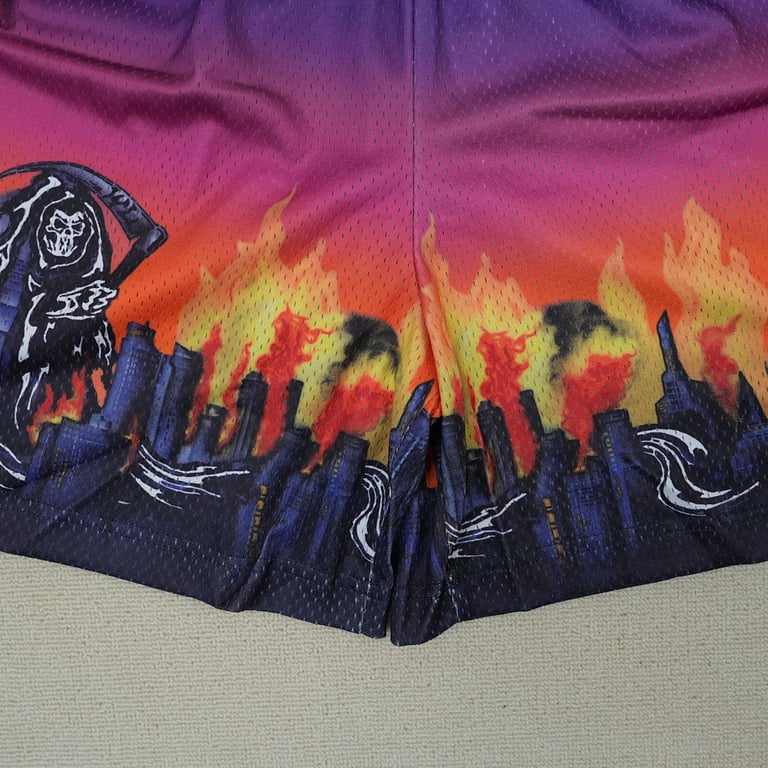Eric Emanuel x Warren Lotas Mesh Shorts Multicolor - 9
