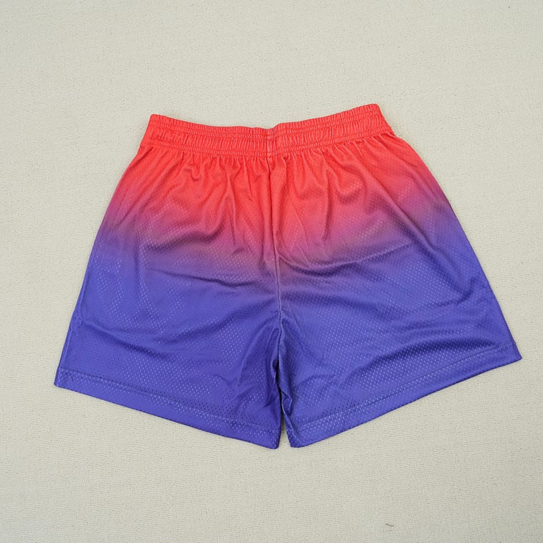 Eric Emanuel x Warren Lotas III Short Multicolor - 14
