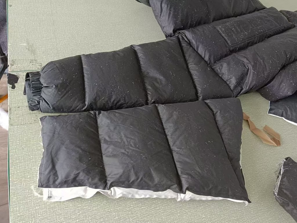 Supreme Reflective Down Jacket - 20