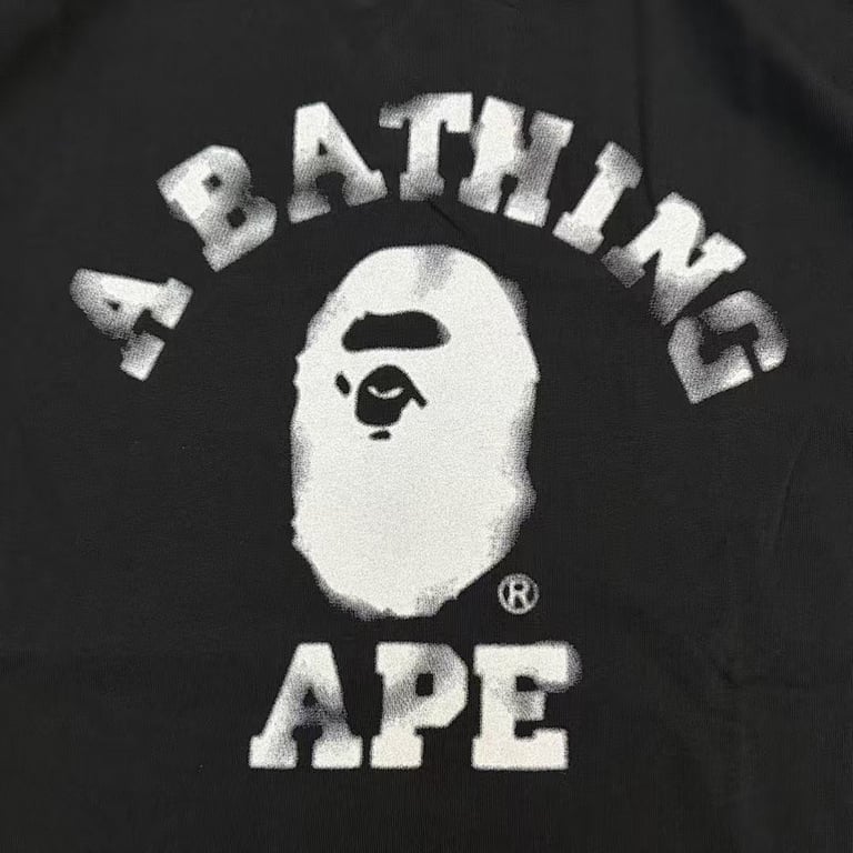 BAPE College Logo Long-Sleeved T-Shirt - 15