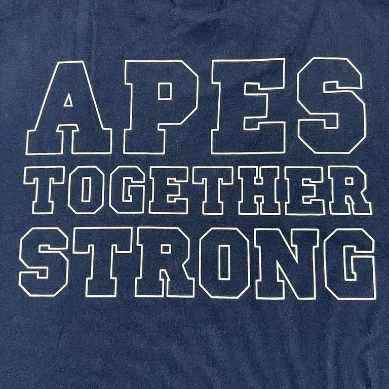 BAPE Apes Together Strong Graphic Tee - 17