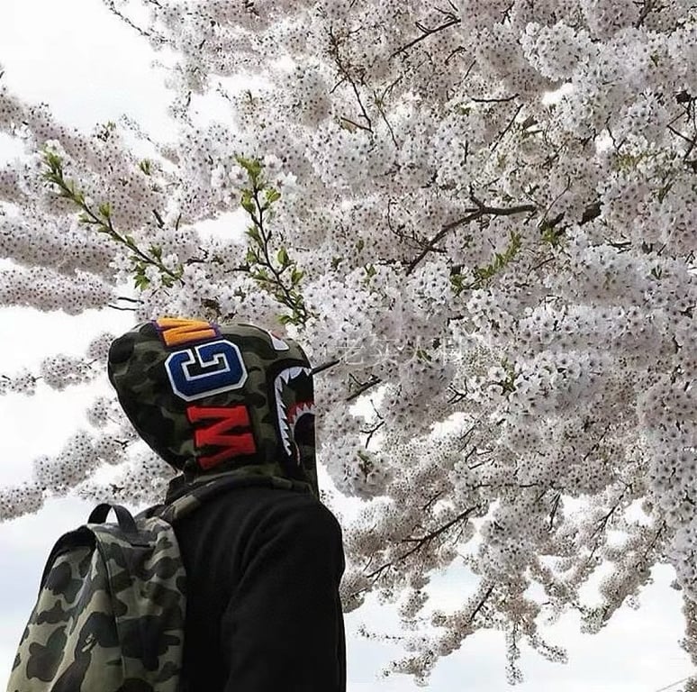 BAPE Shark Full Zip Hoodie Camo Detail - 23