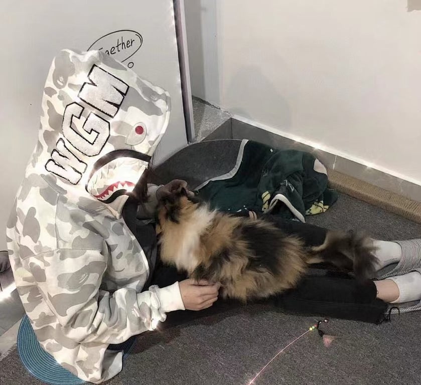 BAPE Shark Full Zip Camo Hoodie - 10