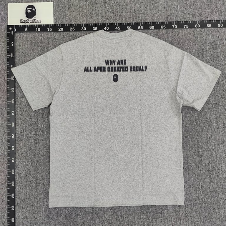 BAPE Why Are All Apes Created Equal Tee - 20