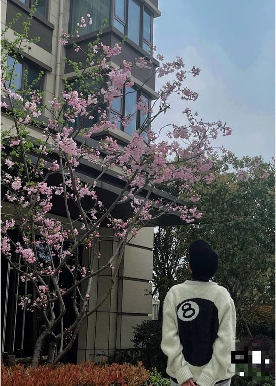 Stüssy 8-Ball Mohair Sweater Beige - 4