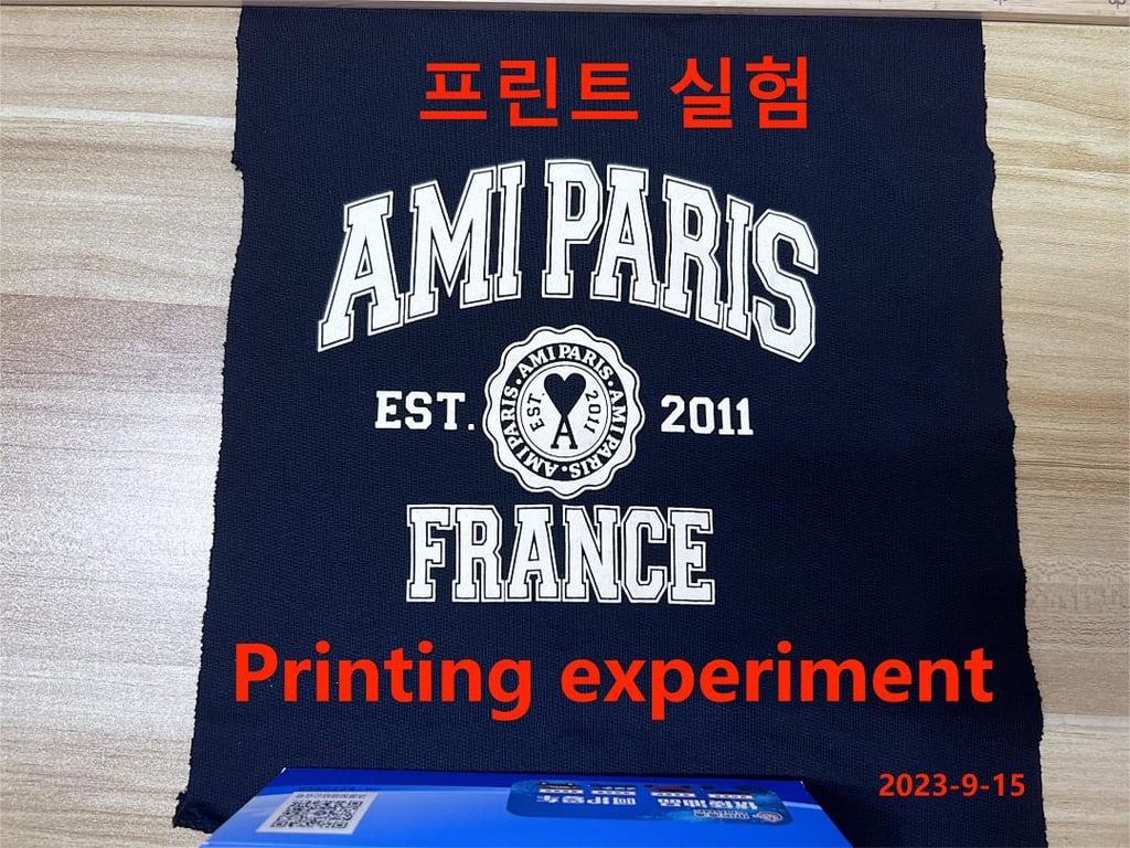 Ami Paris France Graphic Hoodie - 15