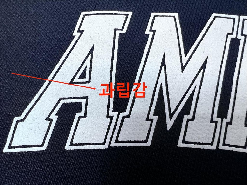 Ami Paris France Graphic Hoodie - 22