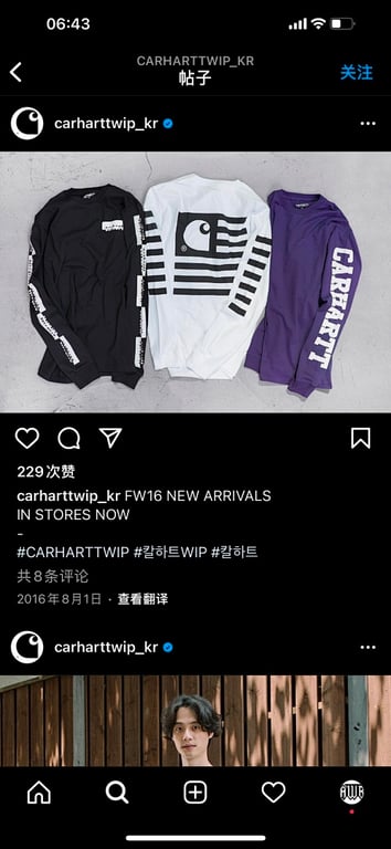 Carhartt L/S Graphic Flag Tee - 10