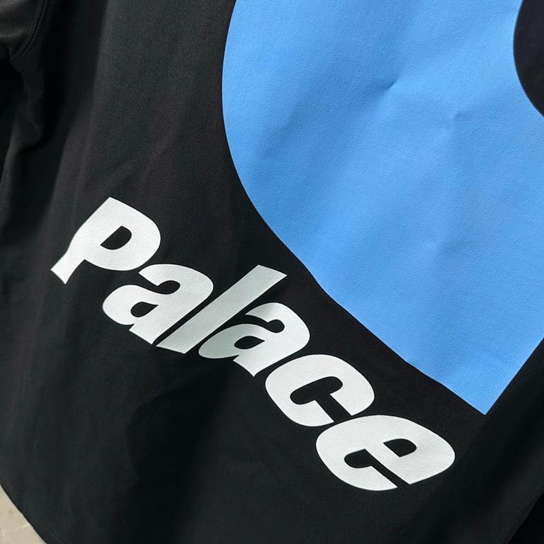 Carhartt x Palace Graphic Long Sleeve T-Shirt - 4