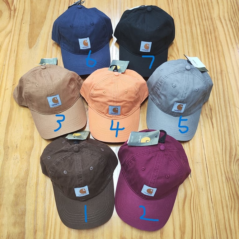 Carhartt Canvas Logo Cap - 2