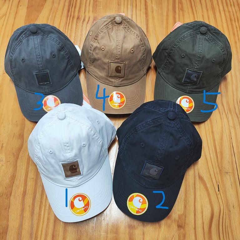 Carhartt Canvas Logo Caps - 2