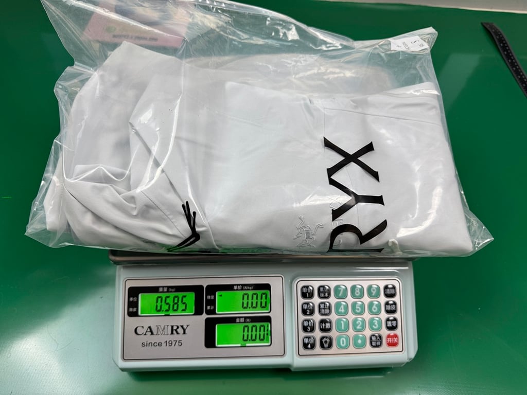 Arc'teryx Alpha SV Jacket Polar White - 2
