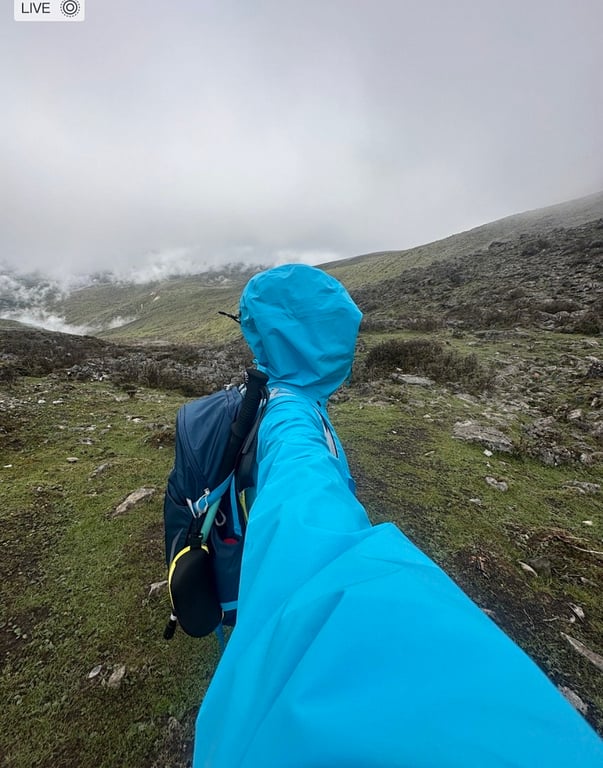 Arc'teryx Koi Blue Gore-Tex Shell Jacket - 14