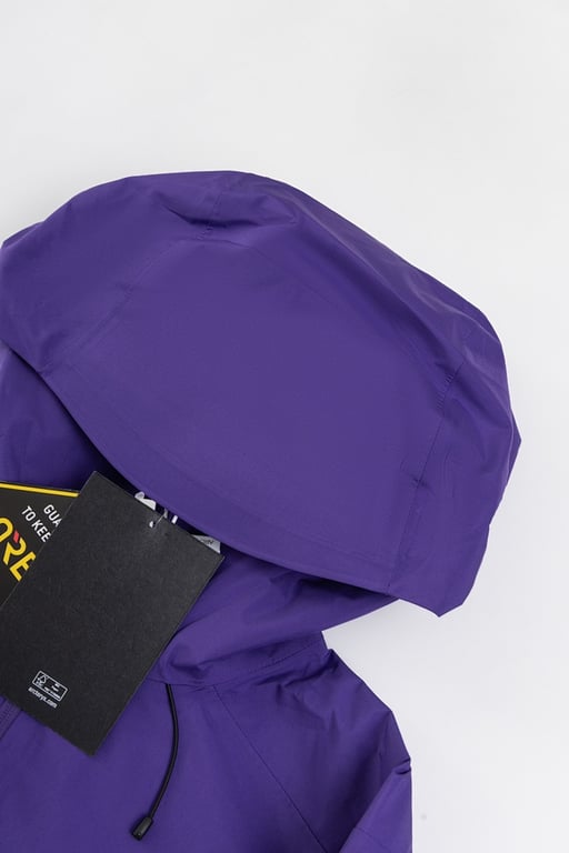 Arc'teryx Gore-Tex Paclite Plus Jacket Gem Blue - 21