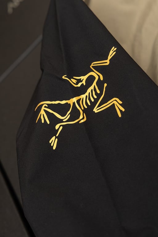 Arc'teryx x Beams Beta Jacket Multi-Color - 14