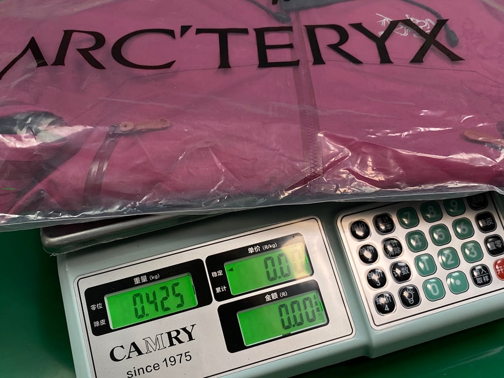 Arc'teryx Gore-Tex Paclite Plus Jacket Rose Red - 5