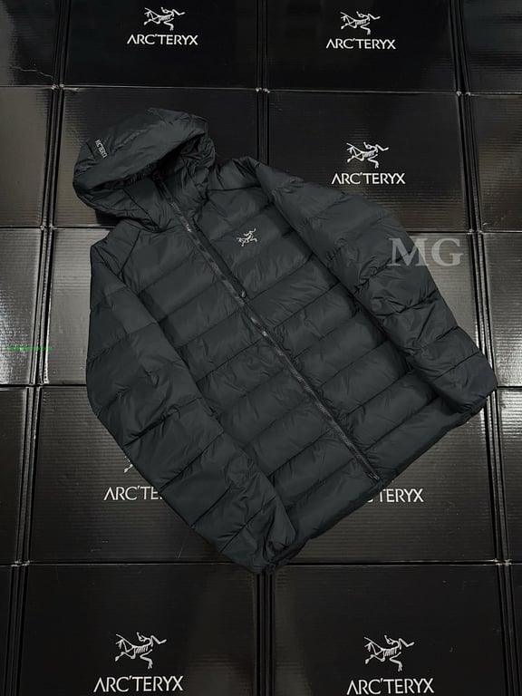 Arc'teryx Thorium AR Goose Down Hoody - 10