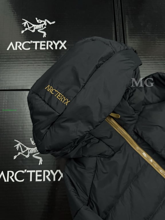 Arc'teryx Thorium AR Goose Down Hoody - 16