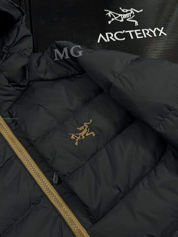 Arc'teryx Thorium AR Goose Down Hoody - 17