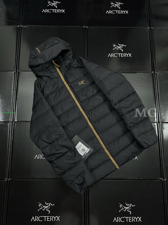 Arc'teryx Thorium AR Goose Down Hoody - 19