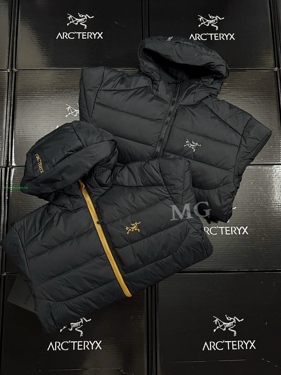 Arc'teryx Thorium AR Goose Down Hoody - 23