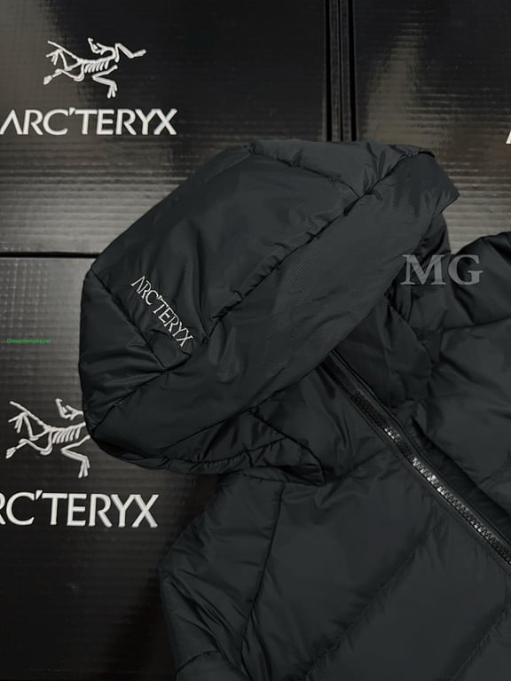 Arc'teryx Thorium AR Goose Down Hoody - 8