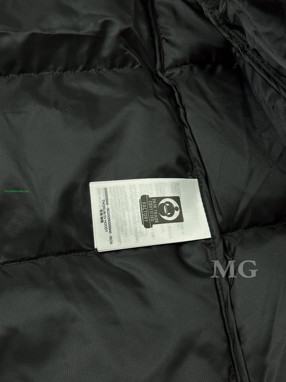 Arc'teryx Thorium SV Goose Down Hoody - 24