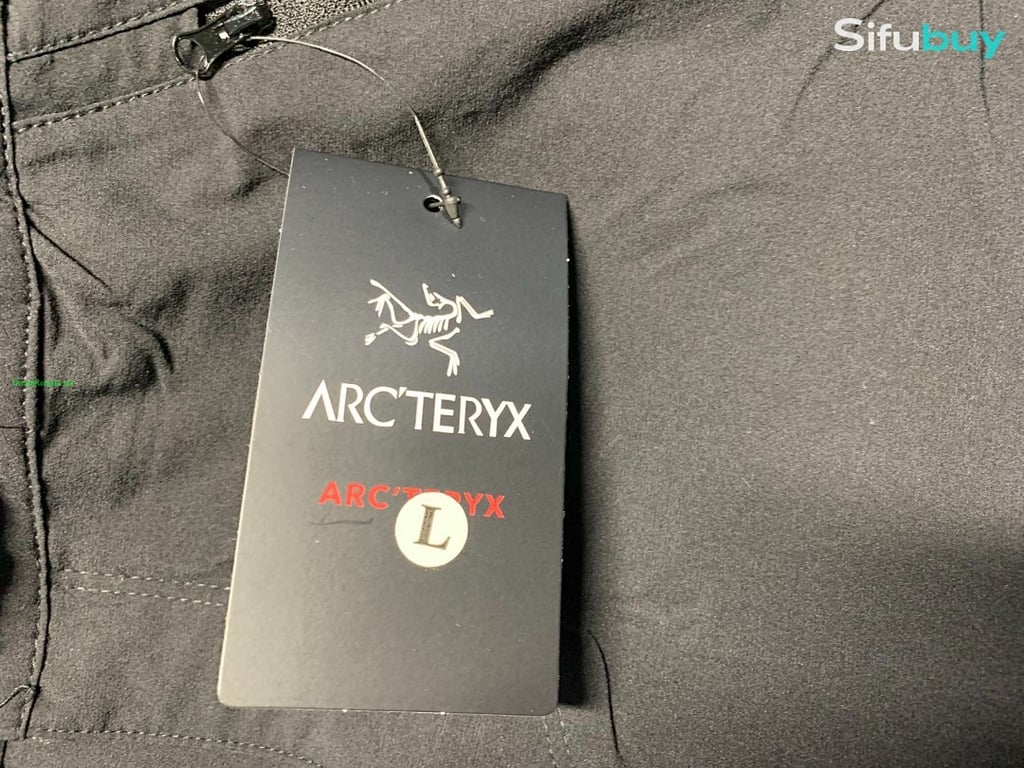 Arc'teryx Gamma LT Pants - 2