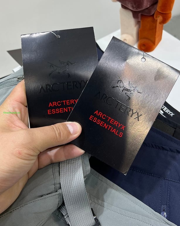 Arc'teryx Gamma LT Pants - 12