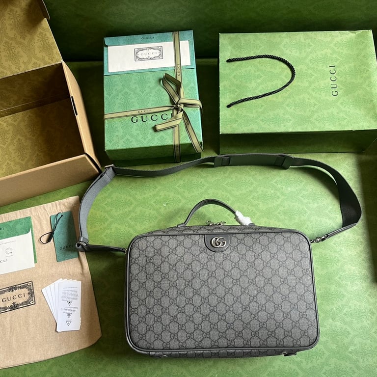 Gucci Ophidia GG Shoe Bag Grey 752587 - 2