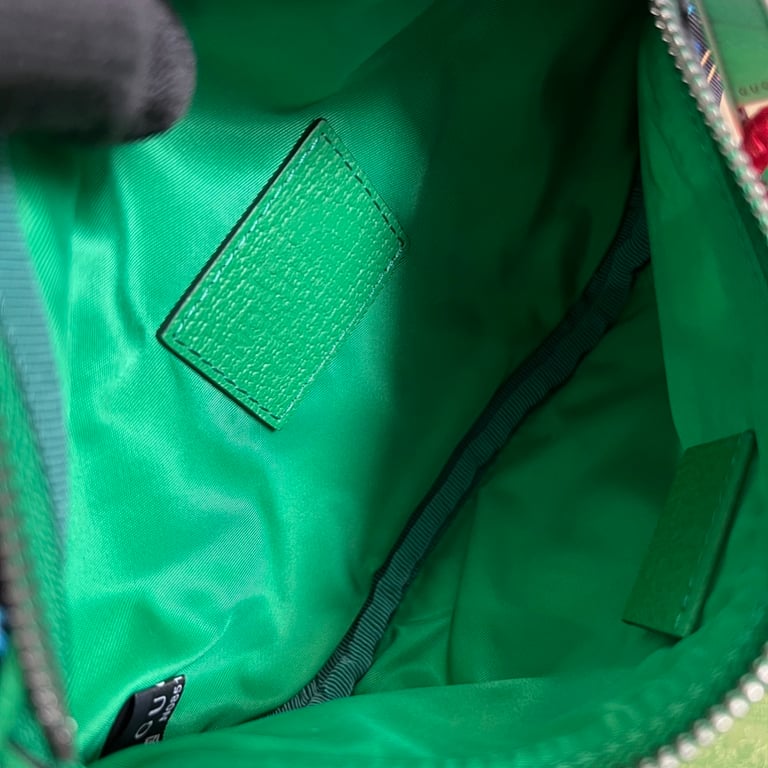 The North Face x Gucci Belt Bag 650299 Multicolor - 3
